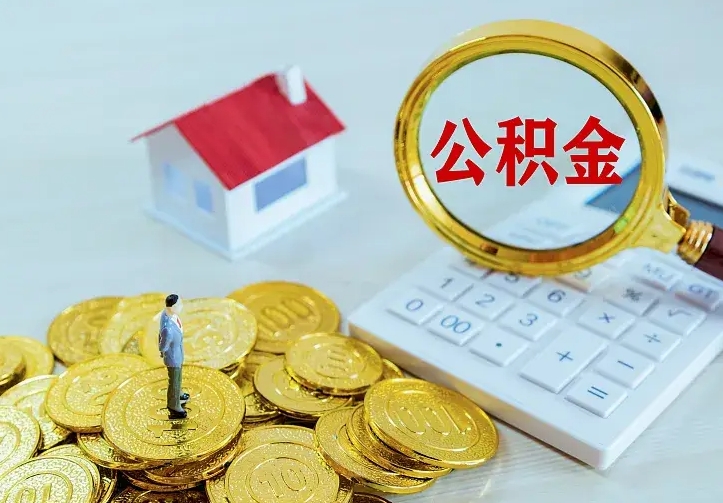 新野个人公积金取钱（2020个人公积金提取流程）